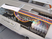 ���� � ������� ����������� ������ ������